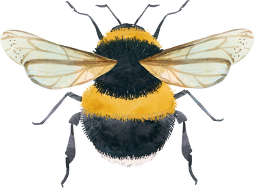 Watercolor bumblebee, bee